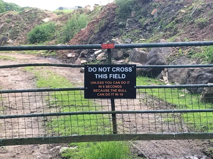 I Found This On A New Cycle Trail Today, Glad This Wasn’t On The Route