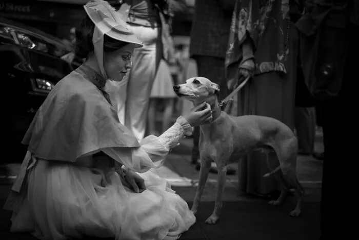 "Lady And The Lurcher" By Alp Turgut