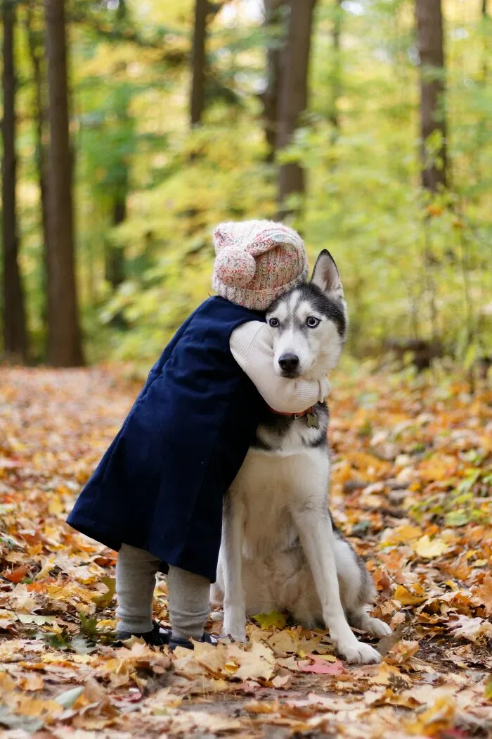 Physically Restraining Dogs As Affection