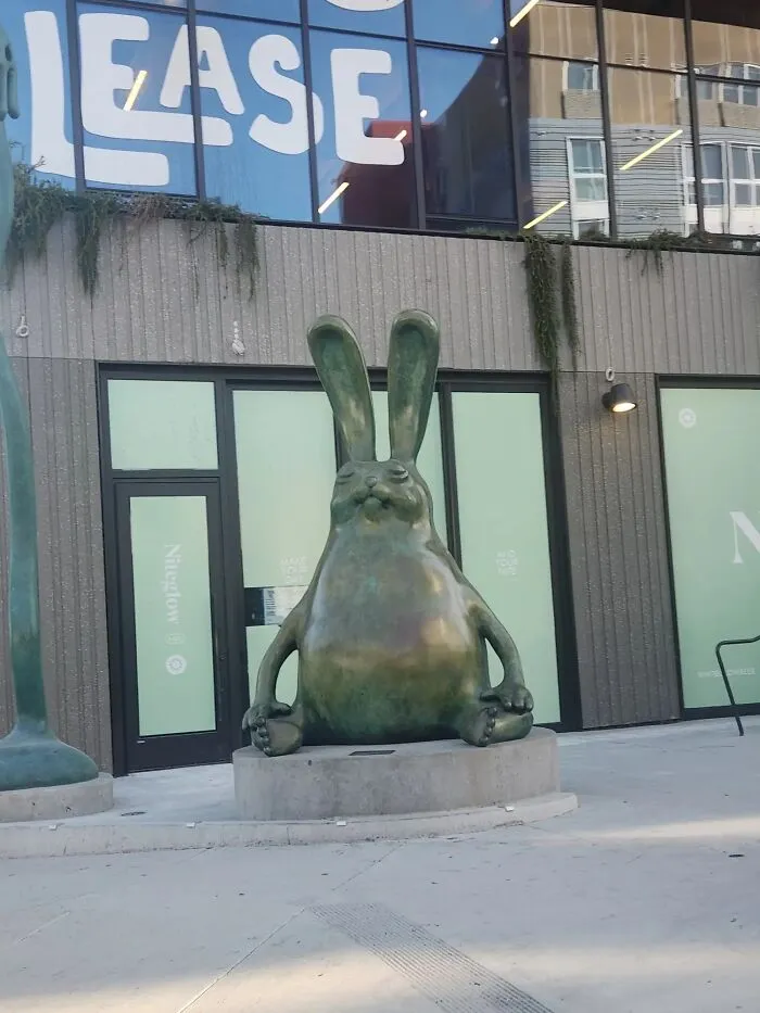 37 Random Photos That Look Completely Made-Up And Senseless, But  Are Quite Amusing Anyway