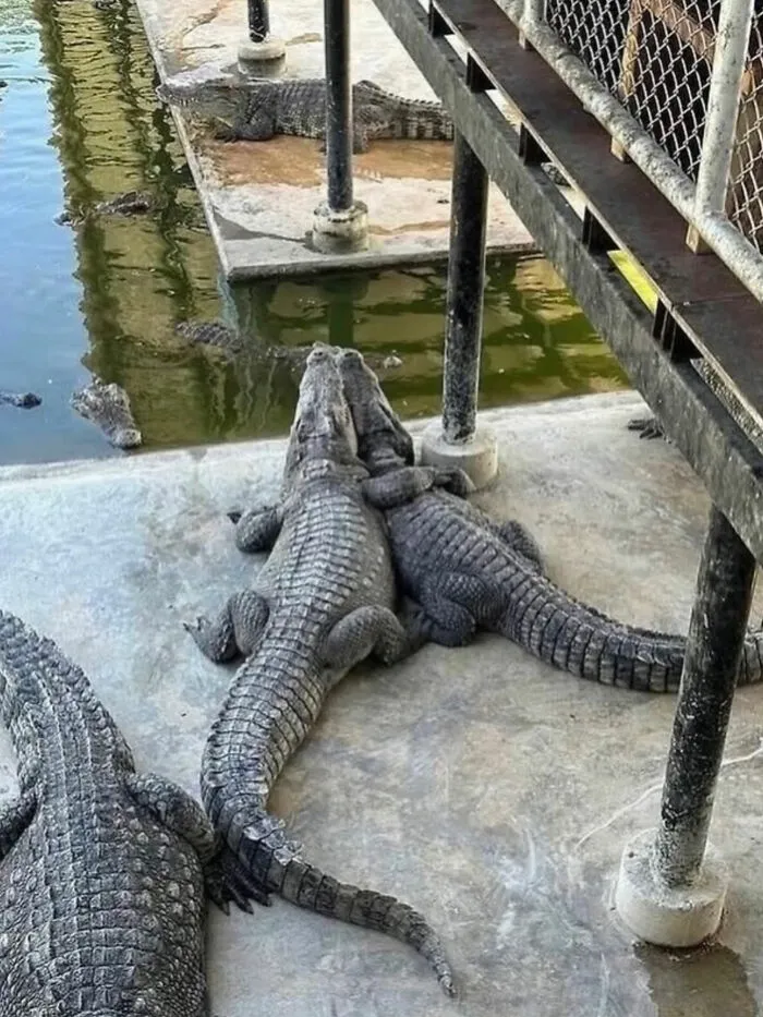 93 Of The Most Stunning, Hilarious And Interesting Pictures From The Internet