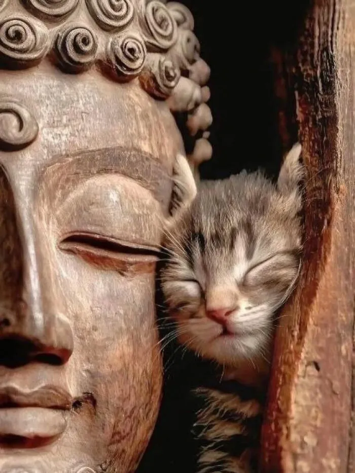 33 Fotos divertidas, curiosas e interesantes sacadas de internet