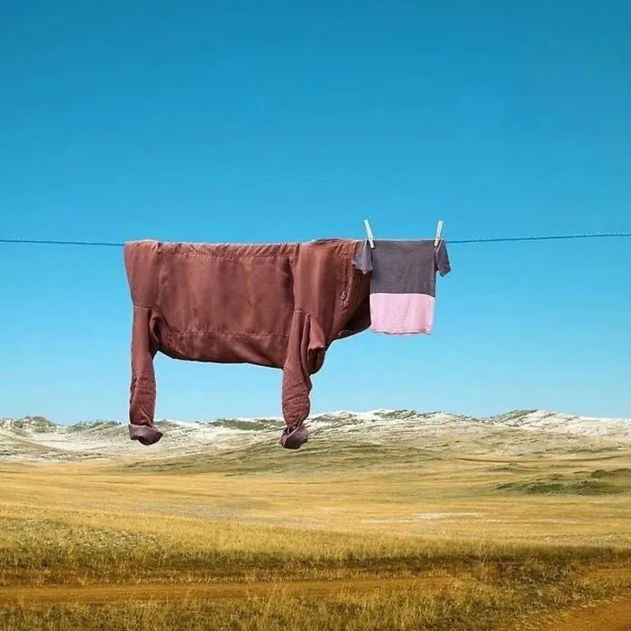 33 Fotos divertidas, curiosas e interesantes sacadas de internet
