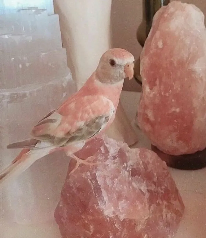 33 Fotos divertidas, curiosas e interesantes sacadas de internet