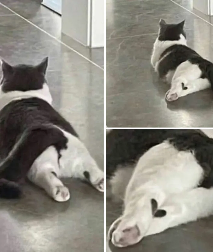 93 Of The Most Stunning, Hilarious And Interesting Pictures From The Internet