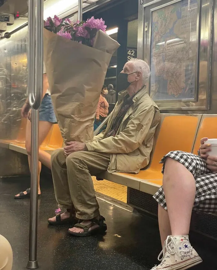 Funny-Weird-Pics-Artselect