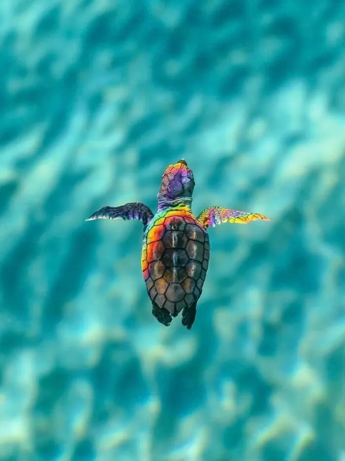 33 Fotos divertidas, curiosas e interesantes sacadas de internet