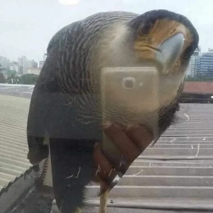 33 Fotos divertidas, curiosas e interesantes sacadas de internet