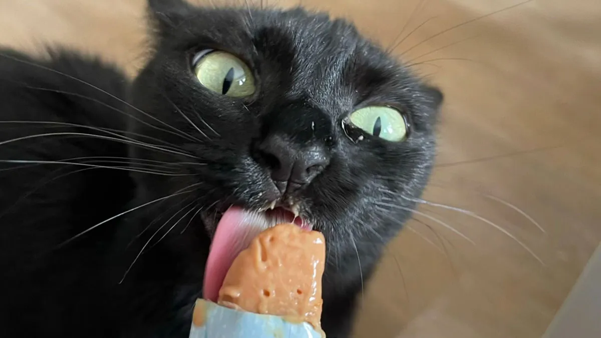 51 Cats Having Such A Good Time With Their Food, It's Impossible Not To Laugh