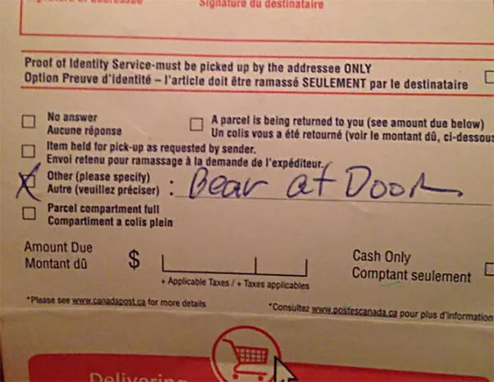 The Only Good Excuse For A Late Package