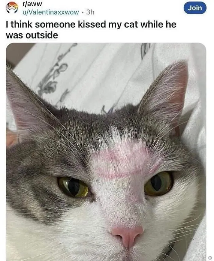 “Inside Of My Juice Box”: 62 Posts That Might Make You Laugh More Than They Should