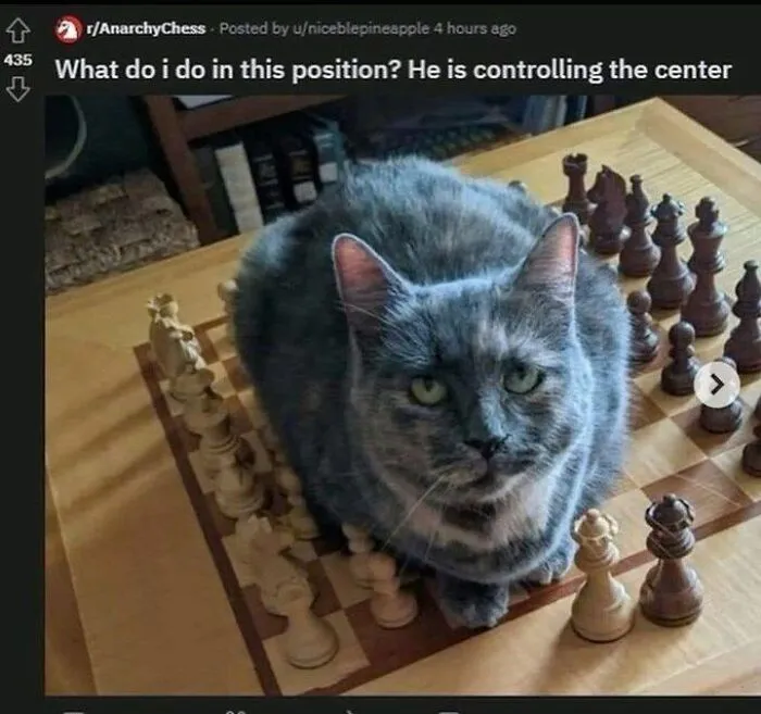 “Inside Of My Juice Box”: 62 Posts That Might Make You Laugh More Than They Should