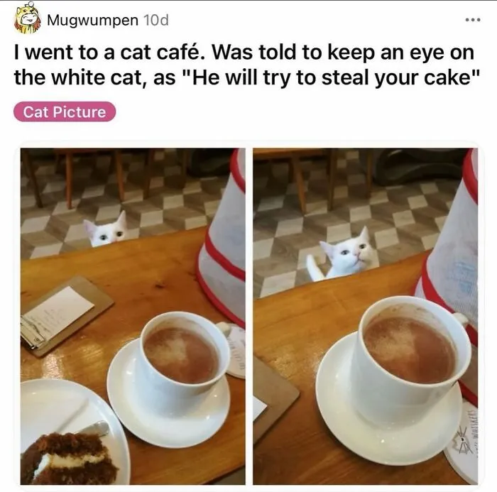 “Inside Of My Juice Box”: 62 Posts That Might Make You Laugh More Than They Should