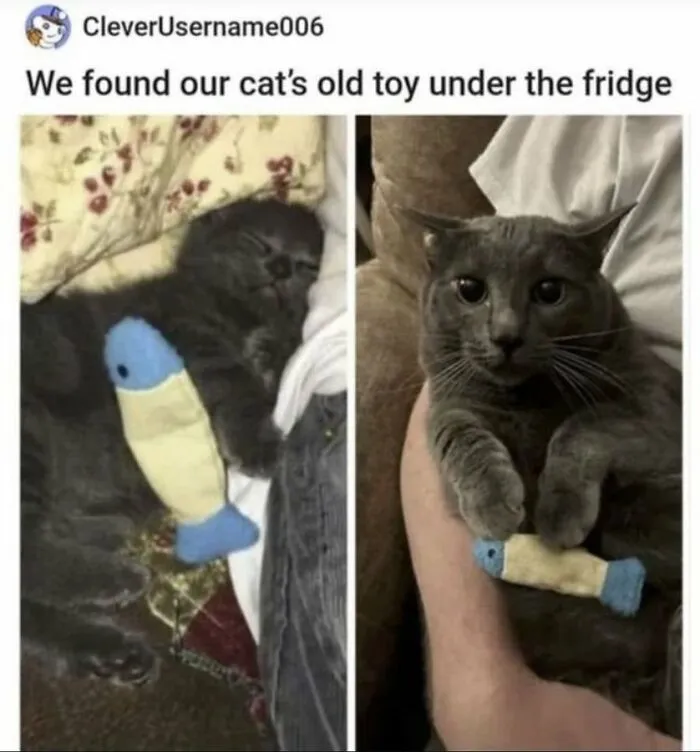 “Inside Of My Juice Box”: 62 Posts That Might Make You Laugh More Than They Should