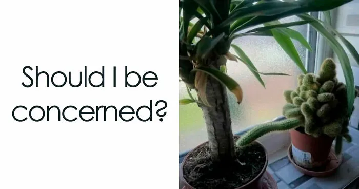 “Inside Of My Juice Box”: 62 Posts That Might Make You Laugh More Than They Should