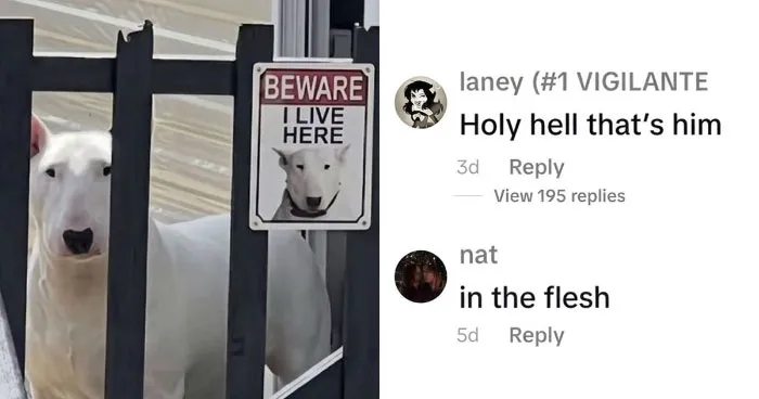 79 Savage Comments Left By People Who Have No Chill