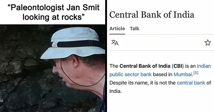 Wikipedia Has More Than 40 Million Entries But These 82 Are Weirder Than The Others