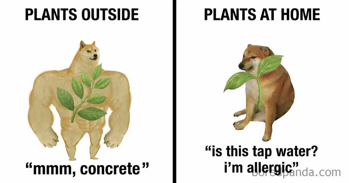 83 Funny, Random, and Hilarious Pics for Every Mood