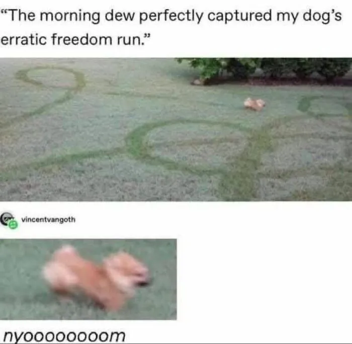 69 Photos That Left The Internet Collectively Confused