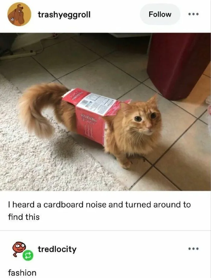 69 Photos That Left The Internet Collectively Confused