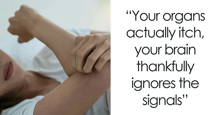 “Your Body Will Simply Give Up”: 38 Human Body Facts That Might Make You Scared To Be Alive
