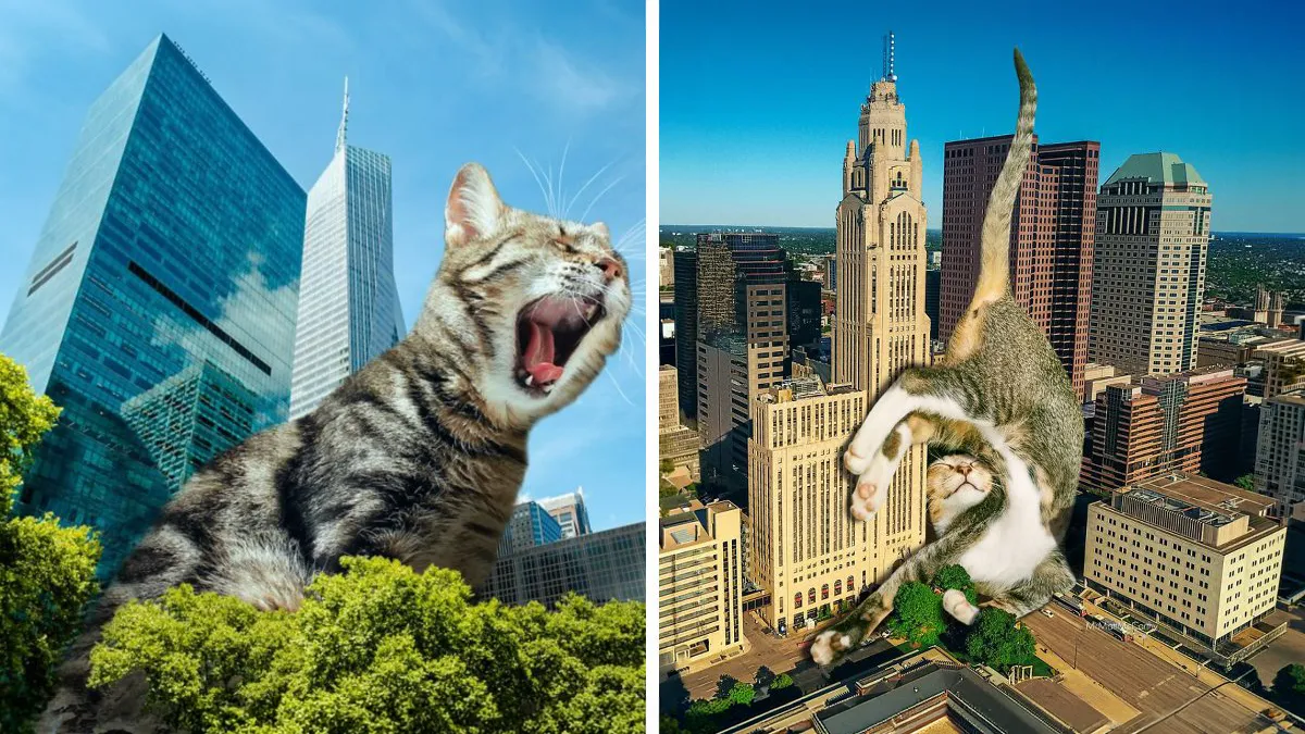 This Artist Continues His Giant-Cat Takeover With 30 New Surreal Digital Collages
