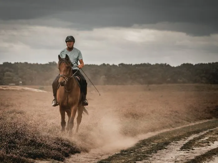 59 People With Unusual Careers Explain What They Do For A Living