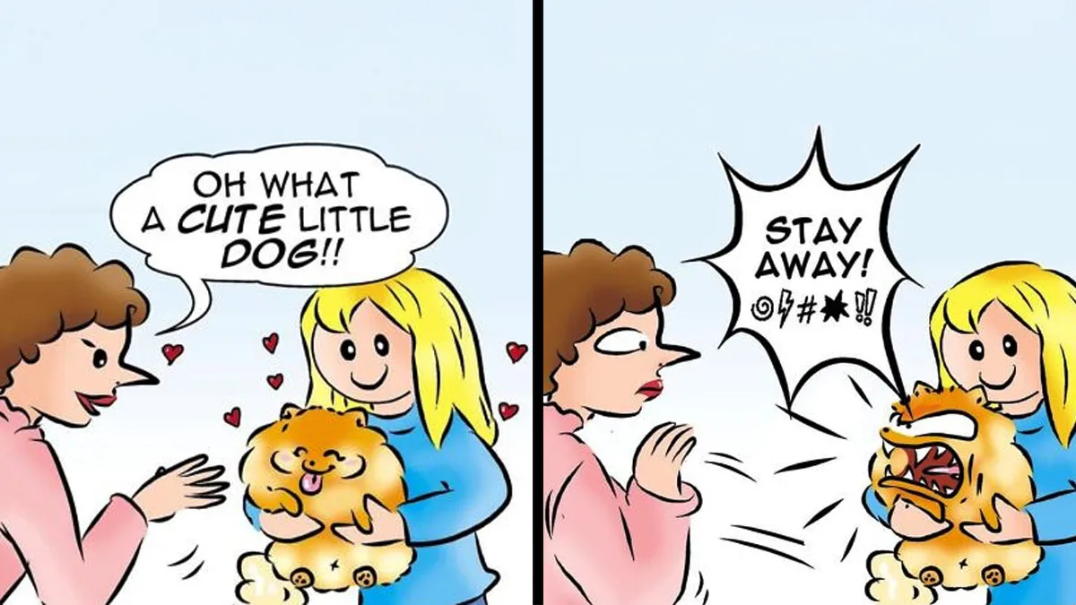 This Artist Captures The Chaos, Charm, And Confidence Of Pomeranians In 40 Comics