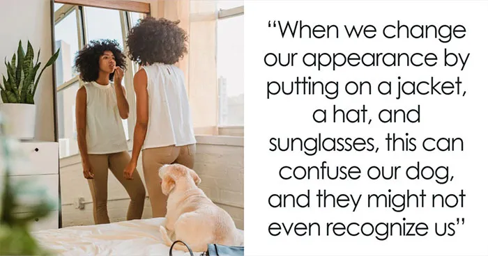 18 Human Habits That Confuse Dogs The Most, According To An Animal Behaviorist