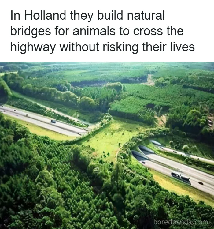 62 Uplifting Posts For Anyone Needing A Break From Bad News