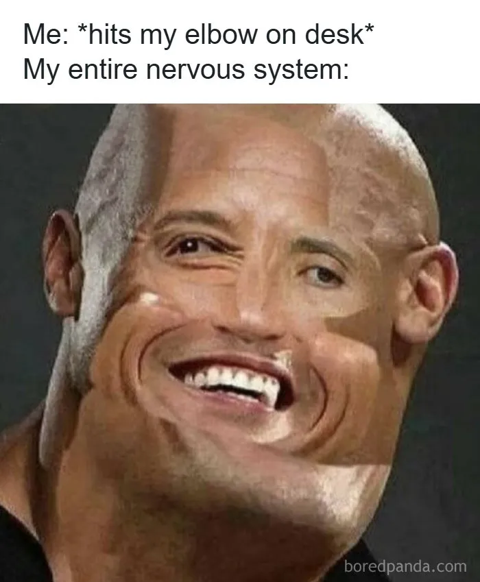 83 Funny, Random, and Hilarious Pics for Every Mood