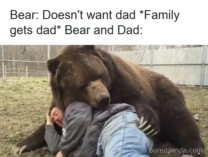 83 Funny, Random, and Hilarious Pics for Every Mood