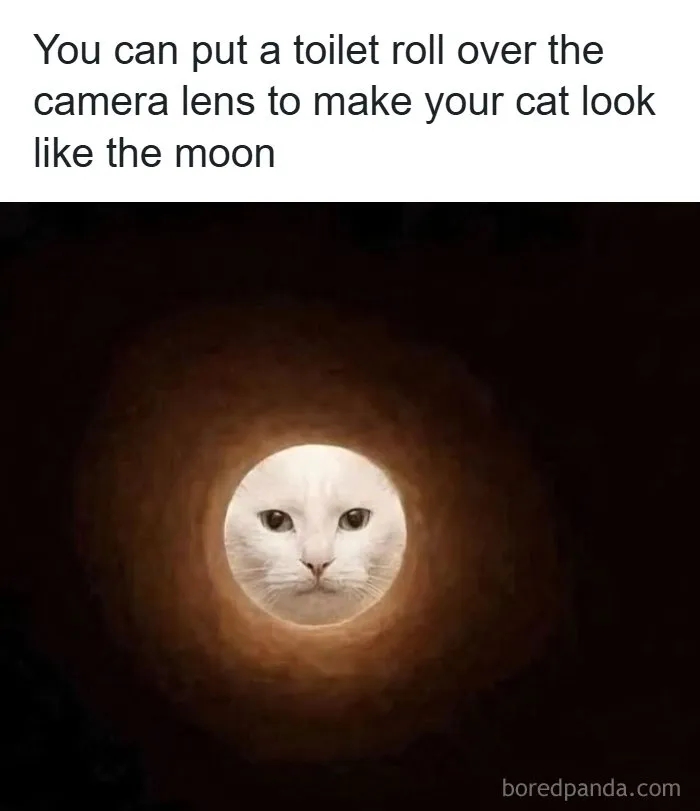 85 Randomly Funny Memes You Probably Haven’t Seen Before
