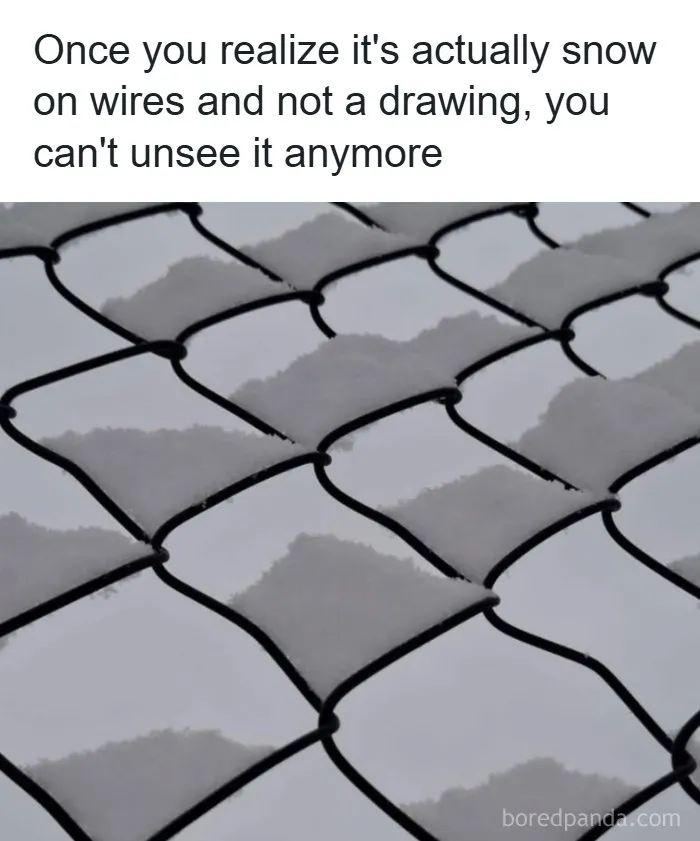 85 Randomly Funny Memes You Probably Haven’t Seen Before