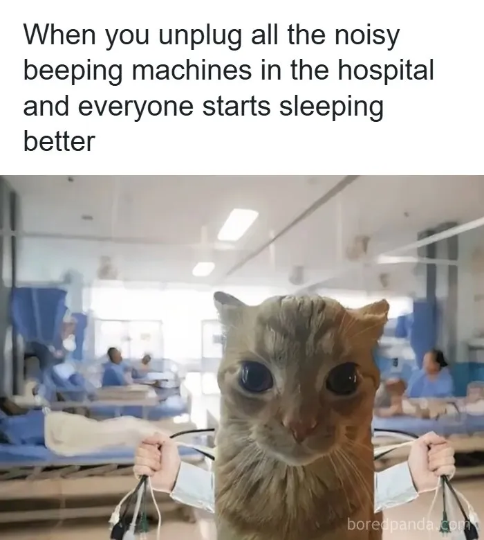 85 Randomly Funny Memes You Probably Haven’t Seen Before