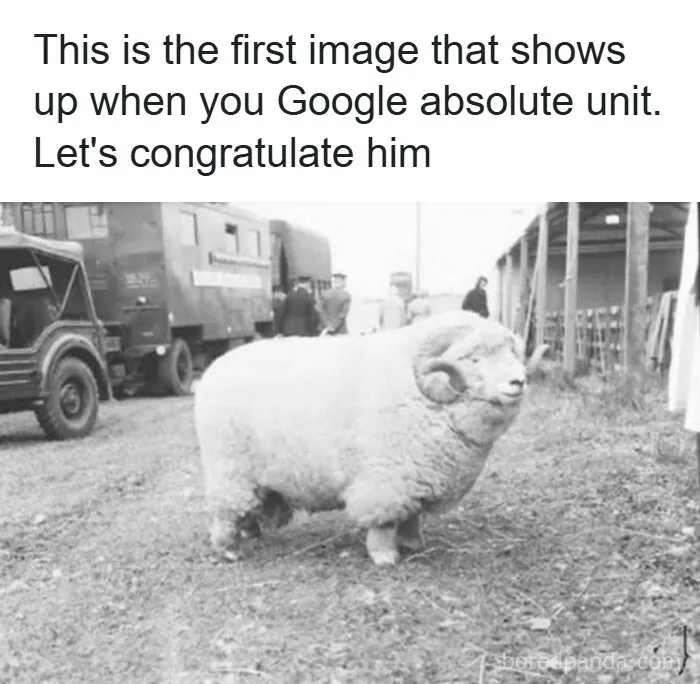 83 Funny, Random, and Hilarious Pics for Every Mood