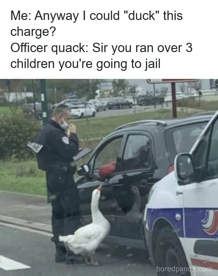 Funny meme about ducking a charge with a police officer and a goose at a car window