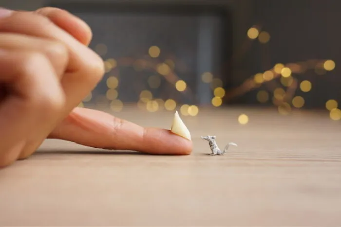 51 Delicate Miniature Works By Ana Sofía Casaverde That Reward A Closer Look