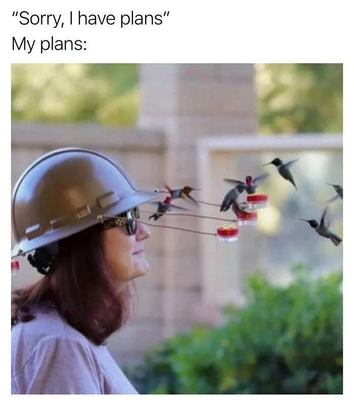 These Memes From “Animals Doing Things” Are Cute, Chaotic, And Very Relatable (40 New Pics)