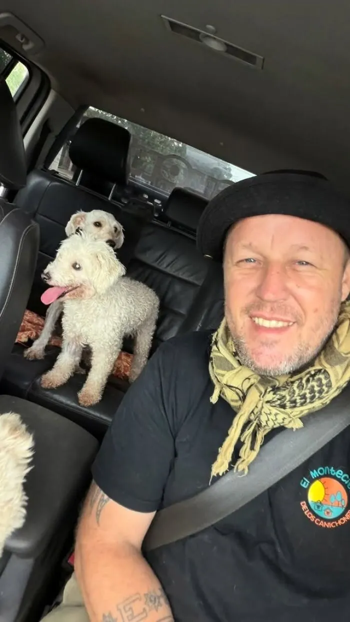 What It Takes To Care For More Than 600 Rescue Dogs: A Look Inside Refugio El Montecito