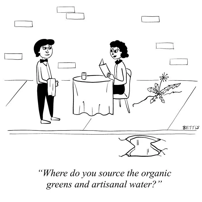 48 Smart And Unexpected Cartoons By New Yorker Cartoonist Katherine Bettis