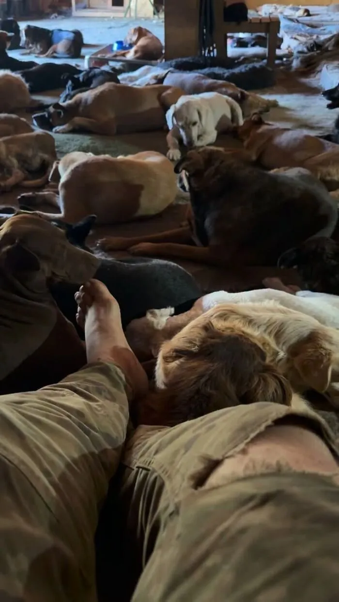 What It Takes To Care For More Than 600 Rescue Dogs: A Look Inside Refugio El Montecito
