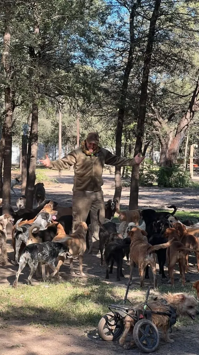 What It Takes To Care For More Than 600 Rescue Dogs: A Look Inside Refugio El Montecito