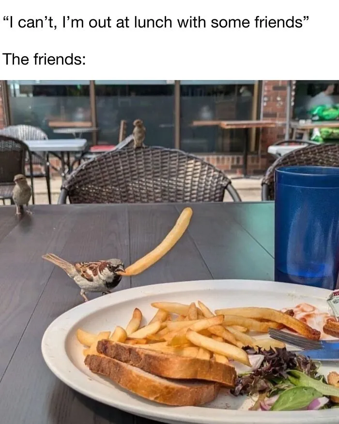 These Memes From “Animals Doing Things” Are Cute, Chaotic, And Very Relatable (40 New Pics)
