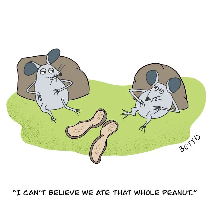 48 Smart And Unexpected Cartoons By New Yorker Cartoonist Katherine Bettis