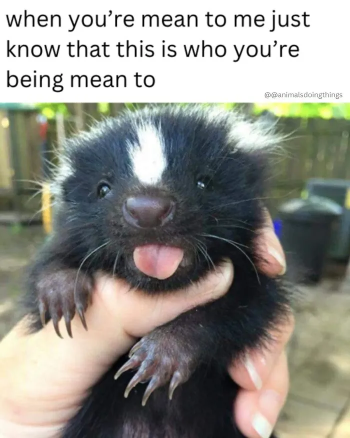 These Memes From “Animals Doing Things” Are Cute, Chaotic, And Very Relatable (40 New Pics)