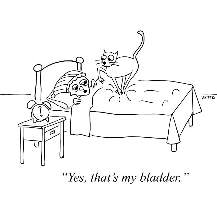 48 Smart And Unexpected Cartoons By New Yorker Cartoonist Katherine Bettis