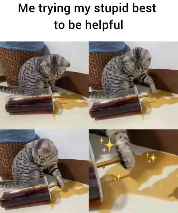 36 Funny Cat Posts From This Page That Perfectly Sum Up Living With Them