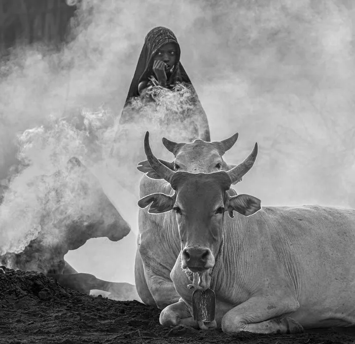 "Smoking The Cows, Ethiopia" By Cyndy B. Waters