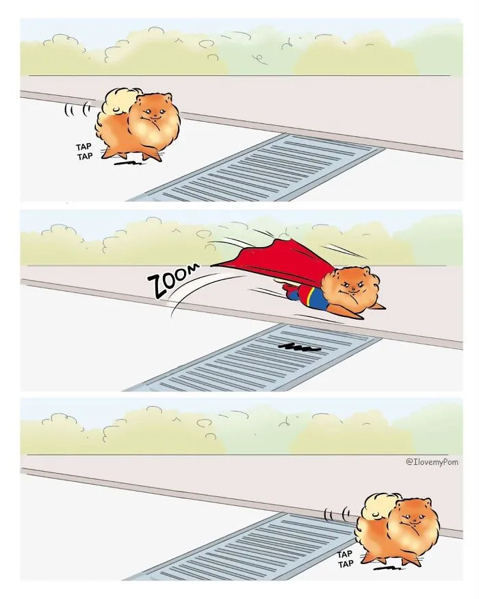 This Artist Captures The Chaos, Charm, And Confidence Of Pomeranians In 40 Comics